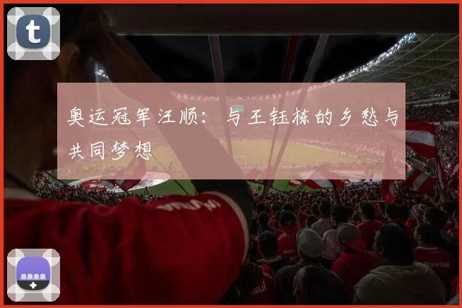 奥运冠军汪顺：与王钰栋的乡愁与共同梦想