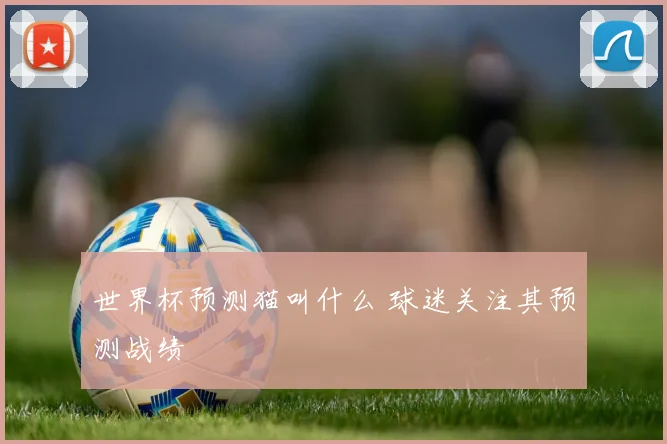 世界杯预测猫叫什么 球迷关注其预测战绩