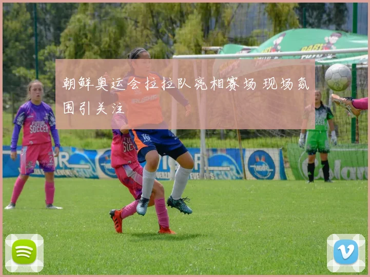 朝鲜奥运会拉拉队亮相赛场 现场氛围引关注
