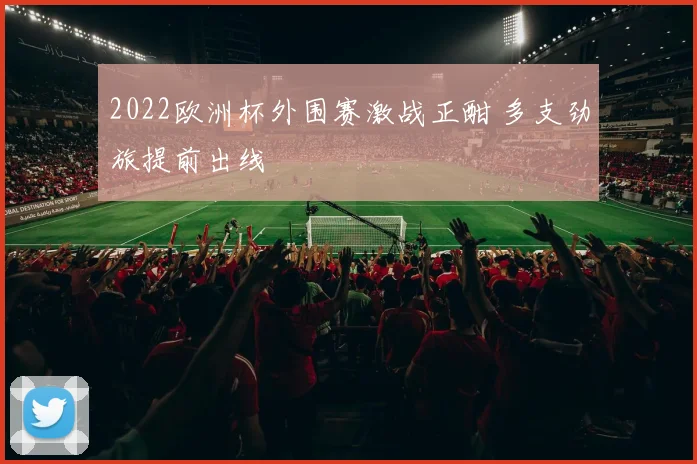 2022欧洲杯外围赛激战正酣 多支劲旅提前出线