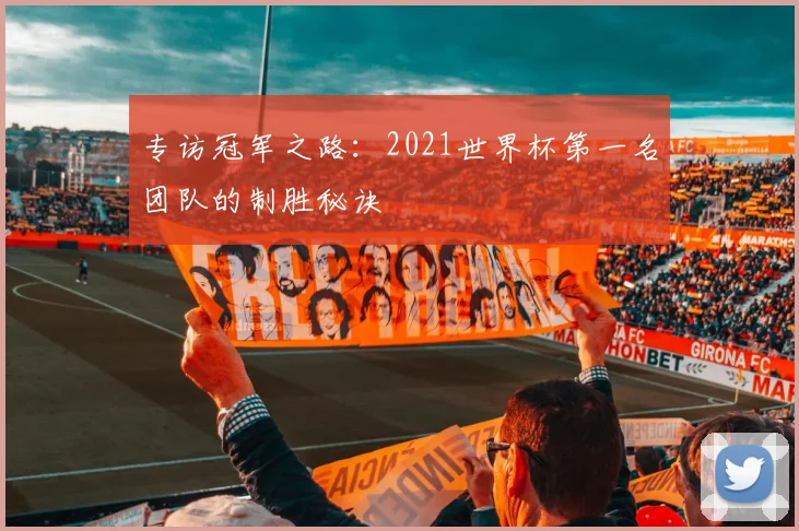 专访冠军之路：2021世界杯第一名团队的制胜秘诀
